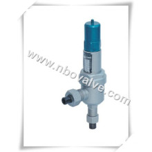 Closed Spring Loaded Low Lift Type Safety Valve (A61Y)